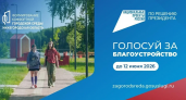 Нижегородцы могут голосовать за благоустройство в любом районе области