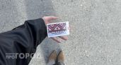 Карты не примут: все россияне срочно снимают наличные на майских праздниках