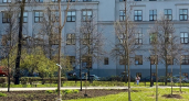 Новые рябины, клены, липы и сосны украсят Нижний Новгород в мае 