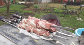 Не говядина: главный диетолог Минздрава назвал забытое мясо для шашлыка, которое не убивает желудок