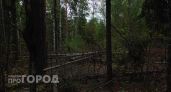 В Нижегородской области зафиксировали первый в этом сезоне лесной пожар