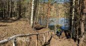 Минлесхоз установил 3-4 классы пожароопасности в лесах Нижегородской области 