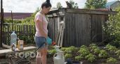 Забудьте про покупную химию: 10 капель на литр воды мгновенно уничтожат тлю на всех ваших растениях сразу