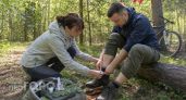 Забудьте про дорогие спреи: эти 10 простых запахов заставляют клещей обходить вас стороной даже в густом лесу