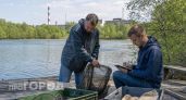 Зачем в пруд Чернобыльской АЭС запустили гигантских сомов: реальная причина использования рыбы вместо техники