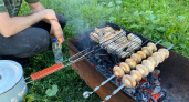  Сосед вызывает полицию из-за шашлыка: 3 шага, как законно "закрыть" ему рот — юрист раскрыл карты 