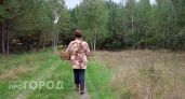 Несколько энцефалитных клещей сняли с жителей Нижегородской области
