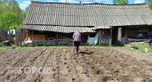 Дачникам Нижегородской области объяснили, как уменьшить плату за свет в квартире летом, если там никто не живет 