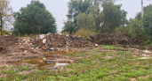 Нижегородец заплатит почти 2 миллиона рублей за нелегальную свалку стройотходов в деревне Крутая