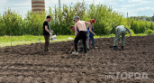 Картошка на даче доведёт до суда: что запрещено делать на грядках в сезон 2026