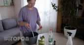 Хватаю "лаврушку" пачками, но не для готовки: соседка дала полезный совет на лето