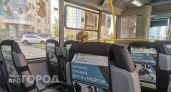 Каждый третий автобус в Нижнем Новгороде выходит на линию без работающего кондиционера 