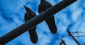 Нижегородец получил 7 лет за фейки об армии и оправдание терроризма в Telegram