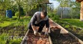 Гранит, плитка или щебень - чем выстелить дорожки на даче: какое покрытие выдержит российский климат