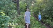 Почему в Нижегородской области в этом году произошло нашествие комаров и когда оно закончится