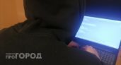 Житель Семеновского района и его родственник из Ижевска наворовали ноутбуков почти на 100 миллионов рублей