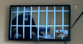 Житель Йошкар-Олы вытащил нож нижегородском автобусе и превратил рейс в криминальный триллер