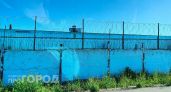 Нижегородец выманил у жены осужденного 50 тысяч рублей под предлогом досрочного освобождения мужа
