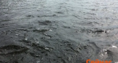 Озеро Светлое в Нижегородской области получило охранную зону в 3579 га с жёсткими запретами