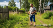 Хватит брить участок под "ноль": как использовать скошенную траву для защиты и питания почвы