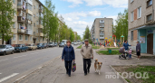 Всю жизнь говорила собаке «прости», а зря: муж показал три жеста — доверие вернулось за минуту