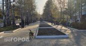 Прокуратура взяла на поводок дела о нападении собак на детей в Выксе и Шахунье