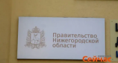Нижегородские многодетные семьи получат выплаты на проезд, питание и выпускников-отличников