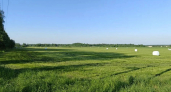 Нижегородские аграрии начали заготовку кормов 