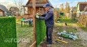 Идеальное ограждение для вашего участка: профлист уходит в прошлое — современный эстетичный способ создать приватность