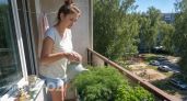 Сажаю зелень в тазик — результат лучше, чем на даче: простой методом с бананом радует круглый год