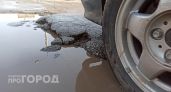 Бастрыкин доехал до ям: глава СК берется разрулить дорожный кошмар в Павловском районе
