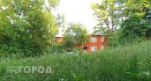 "Дворы по пояс в траве": нижегородцы жалуются на заросли бурьяна во дворах
