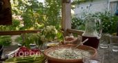 Забудьте про окрошку и мороженое: гастроэнтеролог назвала продукты, которые категорически нельзя есть в жару