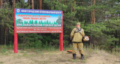 Более 3 тысяч зон отдыха оборудовали в лесах Нижегородской области 