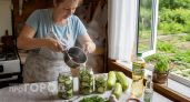 Закрываю такие кабачки гриль на зиму каждый сезон: родные съедают всё до последней банки за считанные недели