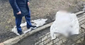 Разъяренная жительница Починок замучила до смерти подругу ножницами, черенком от лопаты и резиновым шлангом