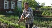 Хватит кормить комаров на даче: один носок на палке избавит от назойливых насекомых навсегда без всякой химии