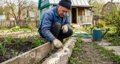 Муравьи исчезли как по-волшебству: этот простой раствор уничтожает колониями