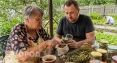 15 лет отправляла это в мусорное ведро: теперь готовлю ароматный домашний чай по скрытому семейному рецепту