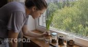 Банки из-под кофе и детского питания больше не выкидываю: 4 идеи, которые экономят бюджет
