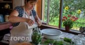Забудьте про уксус: бабушкин секрет, от которого огурцы хрустят, а банки не взрываются