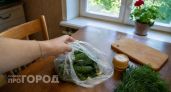 Хрустят громче чипсов: царские огурцы за 30 минут без банок и кипятка