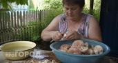 Надо ли чистить бахрому у волнушек и груздей: запомните раз и навсегда