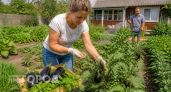 Викинги ели этот продукт для защиты от болезней: теперь вся моя семья забыла про аптечные лекарства