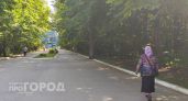 Пенсионерку из Бора запугали госизменой и выманили у нее почти 5 миллионов рублей 