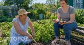 Вы кормите этим всю семью каждый день: гастроэнтеролог объяснила какой дачный овощ медленно губит желудок