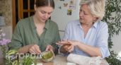 Никаких дорогих кремов: как кореянки добиваются фарфоровой кожи лица и рук с помощью доступных средств