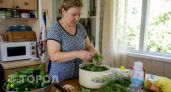 Огурцы-трясуны за час: получаются хрустящими, сочными и малосольными без рассола и кастрюли