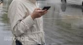 После сообщения в мессенджере нижегородка отправилась к банкомату и отправила 1,5 миллиона в неизвестность 