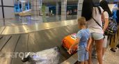 600 нижегородских школьников не смогут отдохнуть в "Артеке"